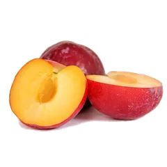 Fortune Plum