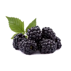 Blackberry Berries