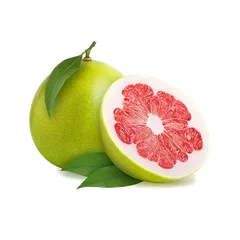 Pomelo Grapefruit and Pomelo