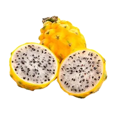 Pitahaya Dragon Fruit and Pitaya