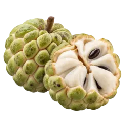 Custard Apple