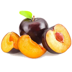 Angelino Plum