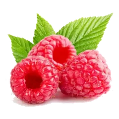 Raspberry Berries