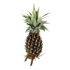 N36 Pineapple