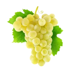 Thomson Grapes