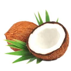 Mature (Hard) Coconut Coconut