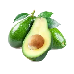 Fuerte Avocados