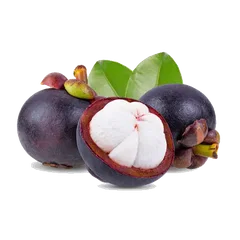 Mangosteen Rambutan and Mangosteen