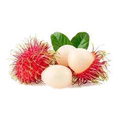 Rambutan Rambutan and Mangosteen