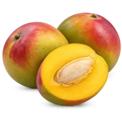 R2E2 Mangoes