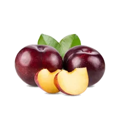 Latitea Plum