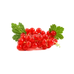 Red Currant Berries