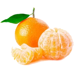 Satsuma Clementine and Mandarin