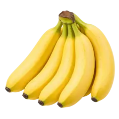 Cavendish Banana