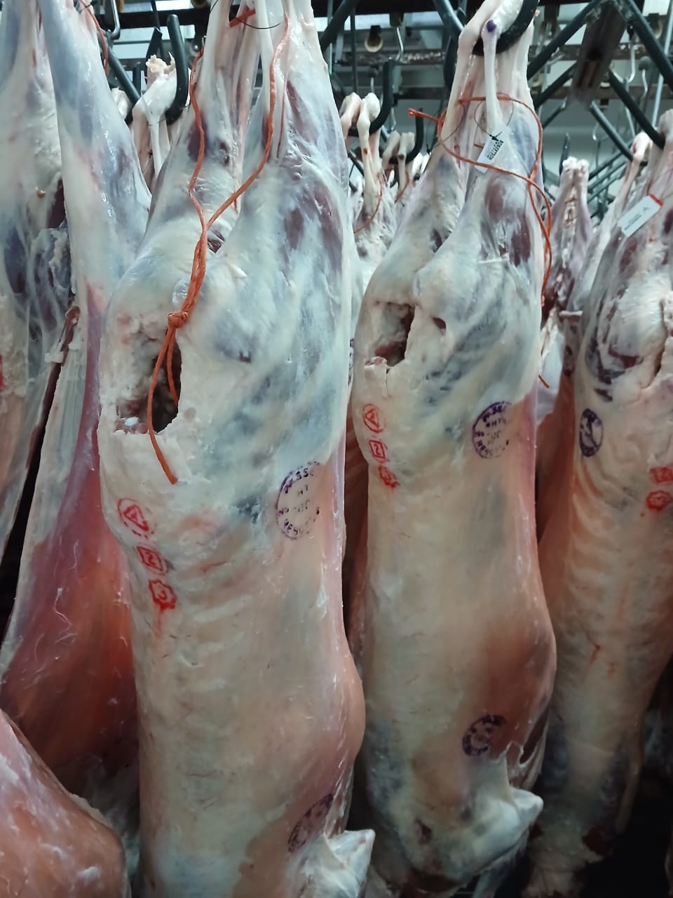 Additional view of whole lamb carcasses supplied by Fresh & Best