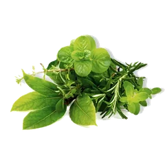 Herbs and Cresses Herbs and Cresses