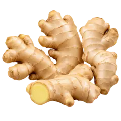 Ginger Ginger and Garlic