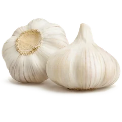 Garlic Ginger and Garlic