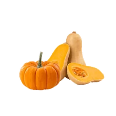 Gourds and Squashes