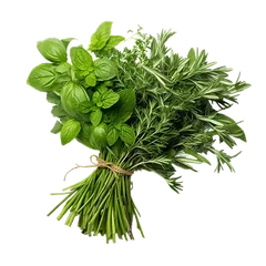 Herbs Herbs and Cresses
