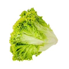 Lollo Biondo Lettuce Lettuce