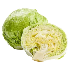 Iceberg Lettuce Lettuce