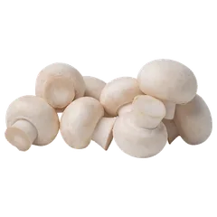 Mushroom Mushrooms