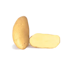 Spunta Potato Potato