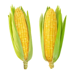 Thai Corn Corn