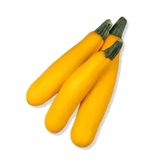 Yellow Zucchini Zucchini